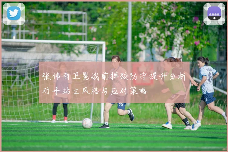张伟丽卫冕战前摔跤防守提升分析对手站立风格与应对策略